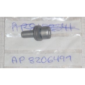 Screw w/ 2 washers m6x16	Scarabeo 2T 1993- 2006 m.fl.