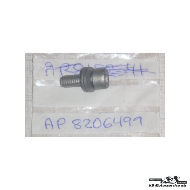 Screw w/ 2 washers m6x16	Scarabeo 2T 1993- 2006 m.fl.