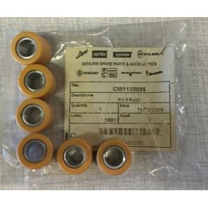 6 ROLLERS KIT 50cc 2T LIQUID COOLED 19 x 15,5mm 