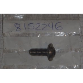 Screw w/ flange m6x16* (bolt m6x