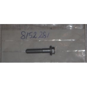 Screw w/ flange m6x30* (bolt m6x