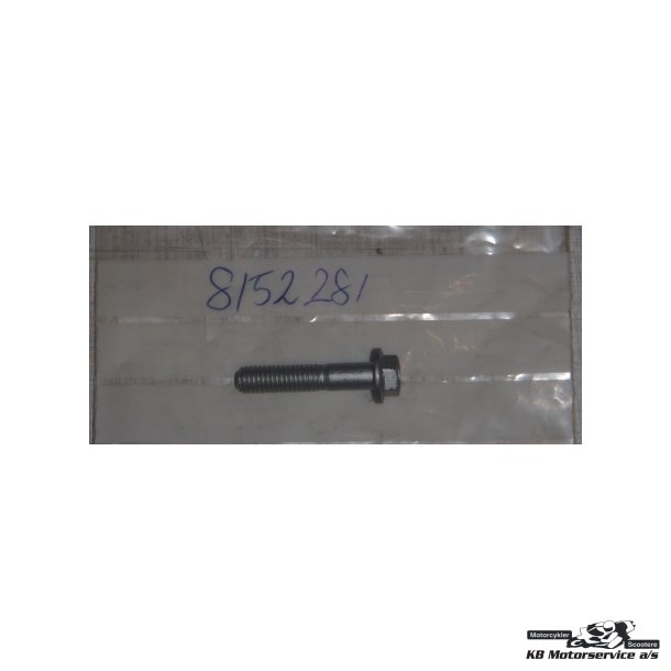 Screw w/ flange m6x30* (bolt m6x