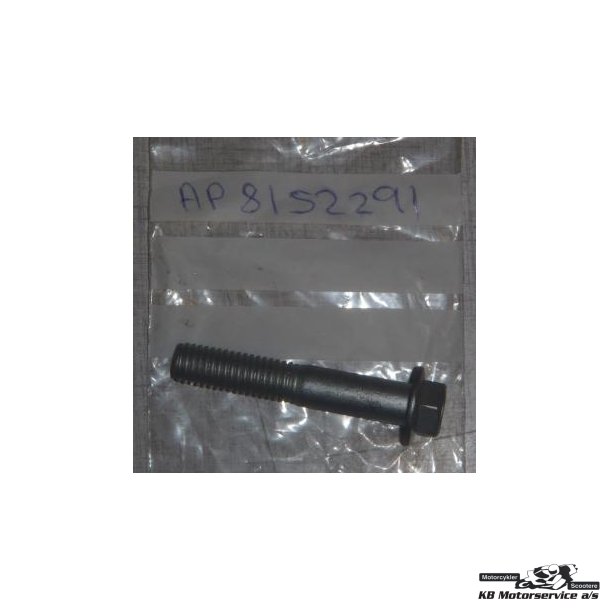 Screw w/ flange m8x45* (bolt m8x