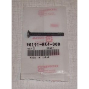 Screw,oval,6x55 til styrende