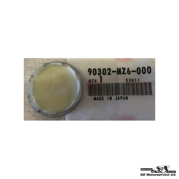 Cap,pivot		NTV650
