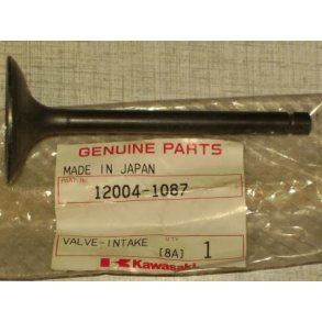 Valve, intake	Model: zx1100