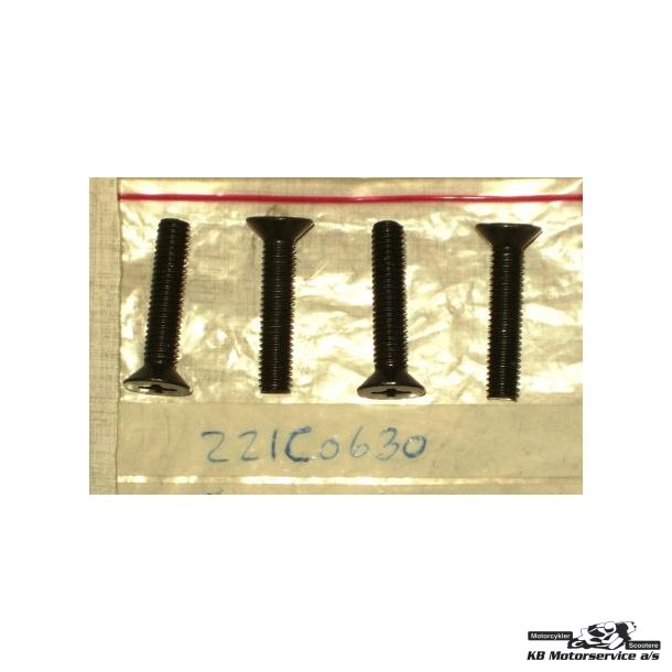 Screw-csk-cros,6x30 Model: zx550-a1