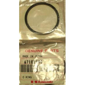 O-ring Model: vn1500d1