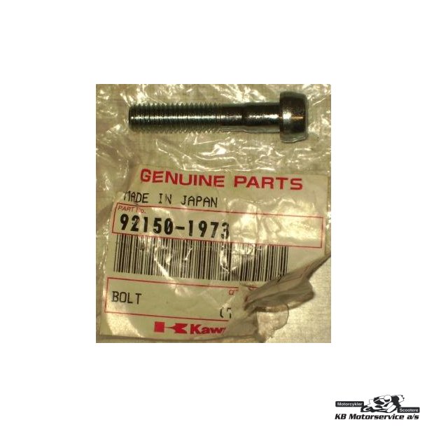 Bolt,socket,8x40 Model: zx900b3