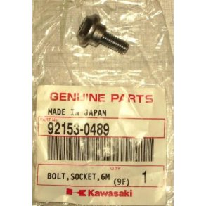 Bolt, socket 6mm ZX1000C1, ZX6R