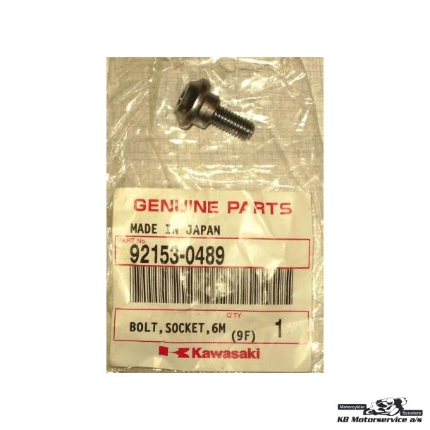 Bolt, socket 6mm ZX1000C1, ZX6R