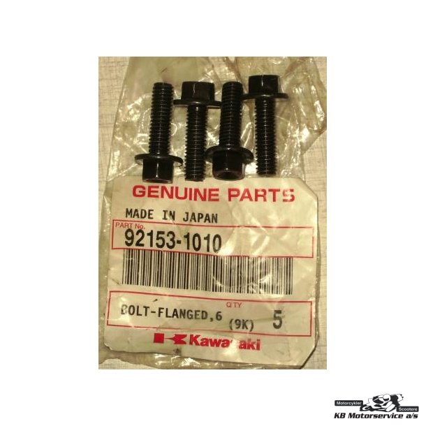 Bolt-flanged,6x20 Model: zx1000d6f