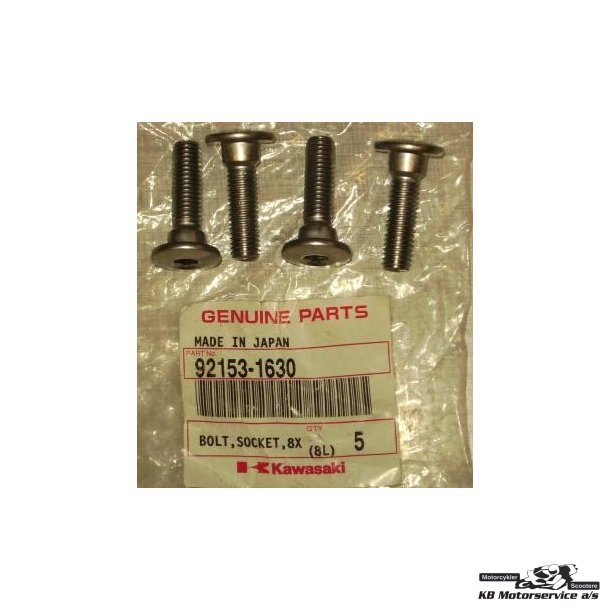 Bolt,socket,8x30 Model: zx1400a6f