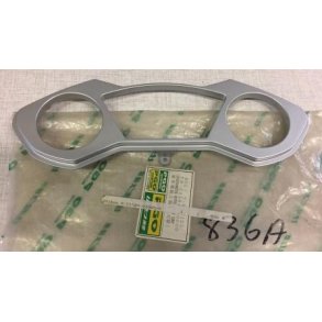 Speedometer cover	PGO Dr.Big/T-Rex