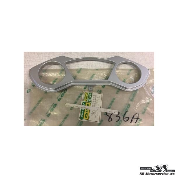 Speedometer cover	PGO Dr.Big/T-Rex