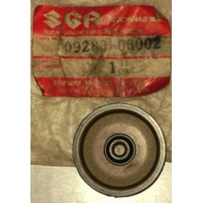 Oil seal	GS450