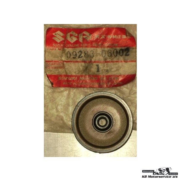 Oil seal	GS450