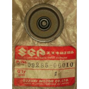 Oil seal	GS250