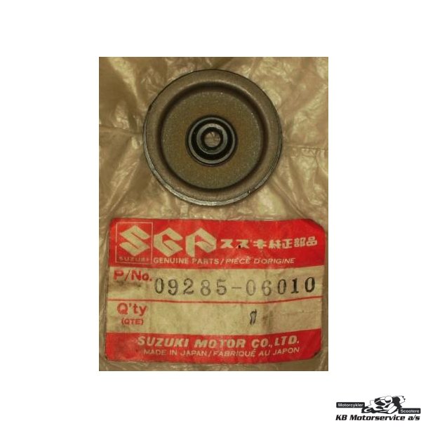 Oil seal	GS250
