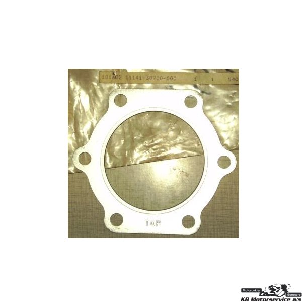 Gasket,cylinder head	TS250