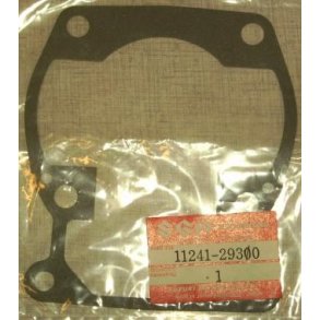 Gasket,cylinder(na)	TS185