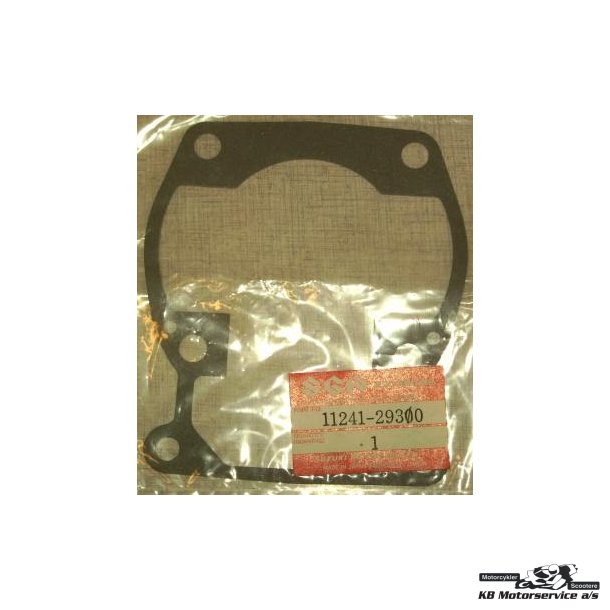 Gasket,cylinder(na)	TS185
