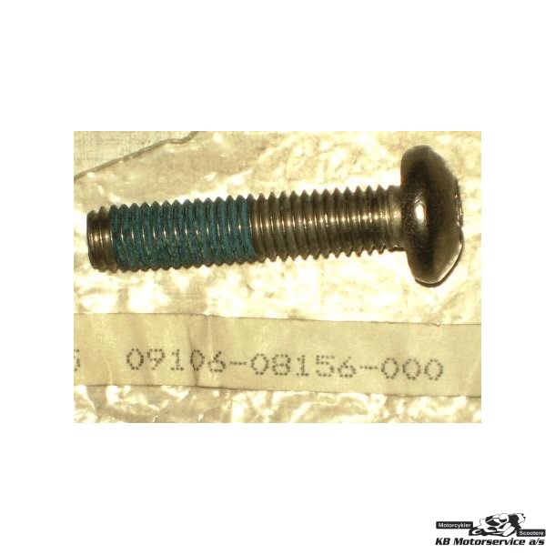 Bolt	VL1500, GSX-R600, GSX-R750