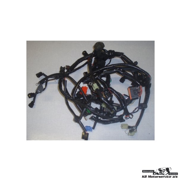 Harness,wiring	Suzuki GSF1250