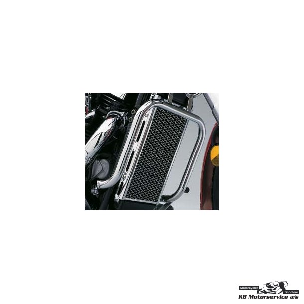 Engine guard Chrom VZ800