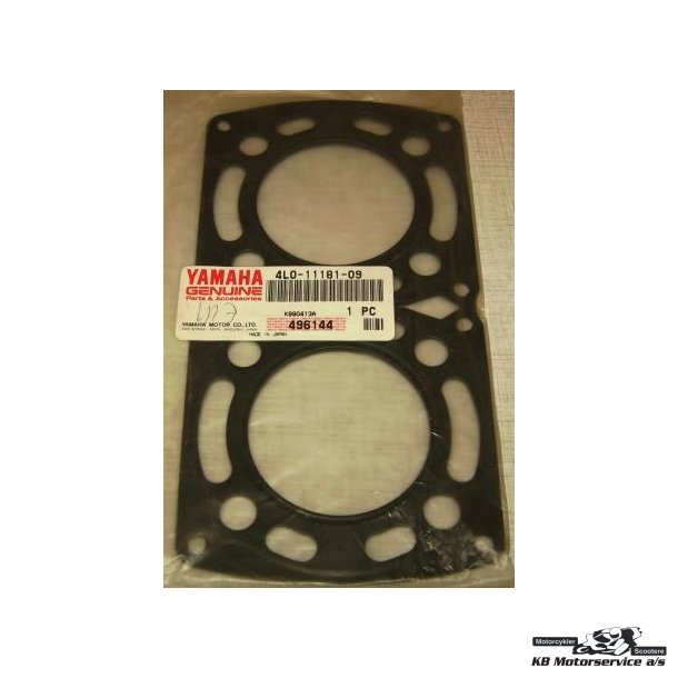 Gasket RD350
