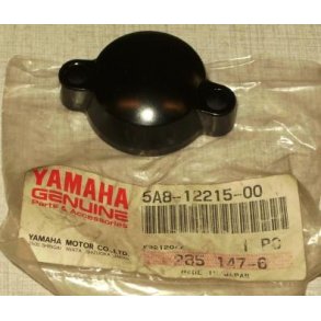 Cap, tensioner case	XV920