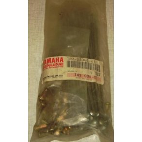 Spoke set, rear DT100, RD125