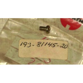 Screw, pan head(78g)	Yamaha FS1