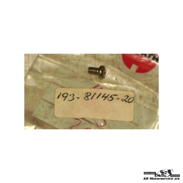 Screw, pan head(78g)	Yamaha FS1