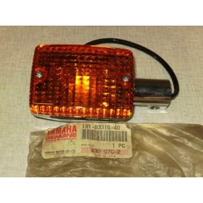 Front flasher light assy TR1