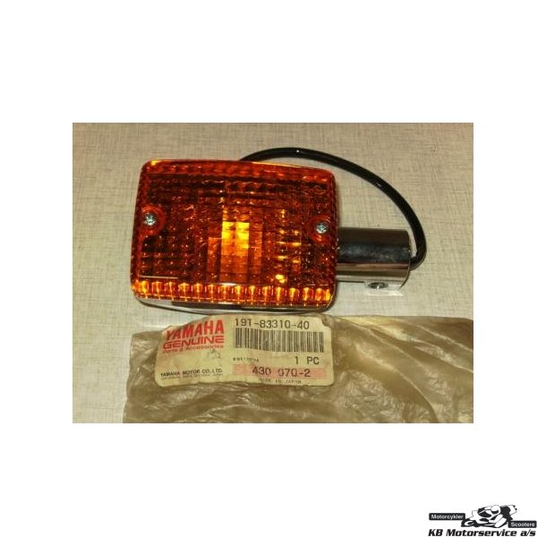 Front flasher light assy TR1