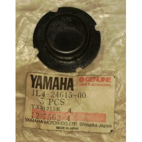 Gasket Plate 1	Yamaha