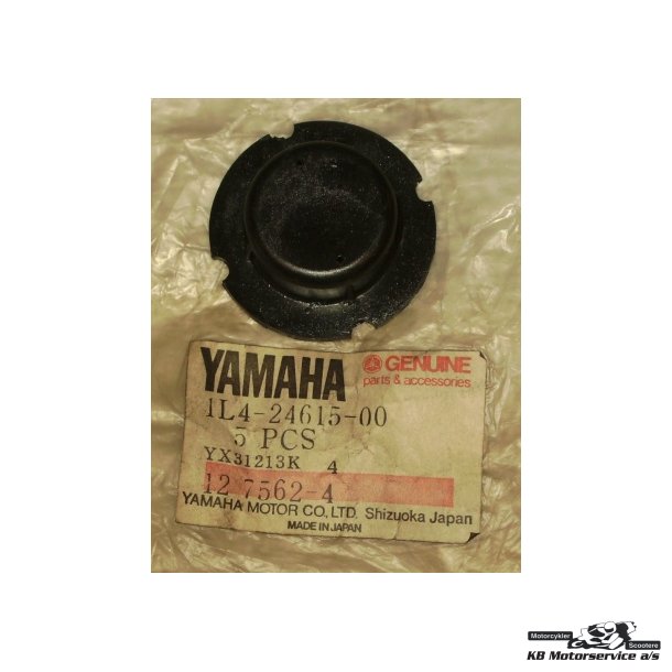 Gasket Plate 1	Yamaha