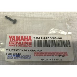 Screw, lens fitting	Yamaha Spy