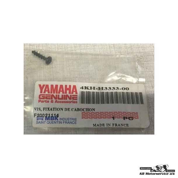 Screw, lens fitting	Yamaha Spy