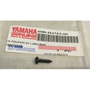 Screw, lens fitting	Yamaha BW50NG