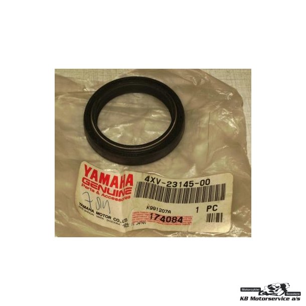 Oil seal, YZFR1, YZFR6