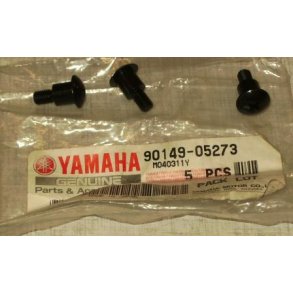 Skrue til kbe R6 R1 TDM850, TZR50