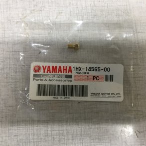 Yamaha Screw