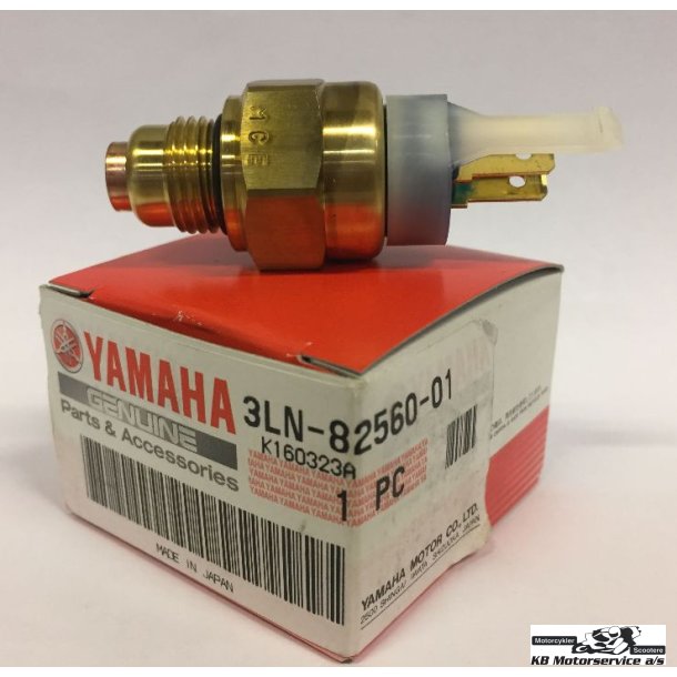 Thermo switch assy