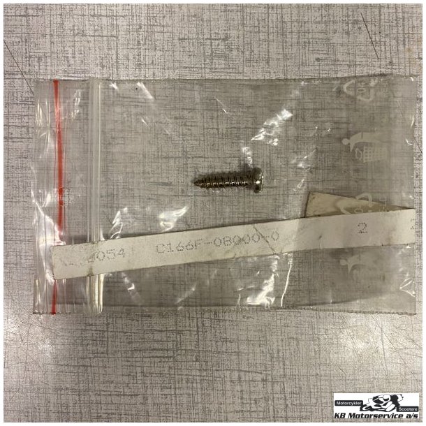 Pgo Self tapping screw