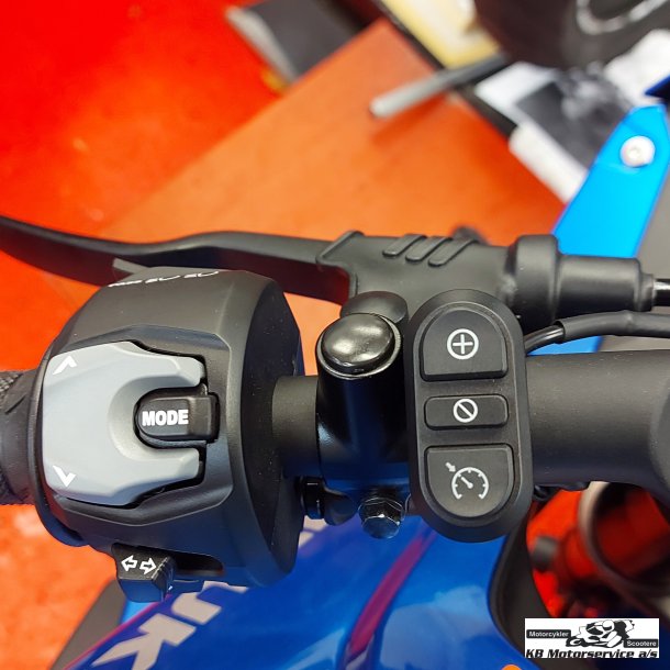 Cruise Control Suzuki DL800/DL800DE