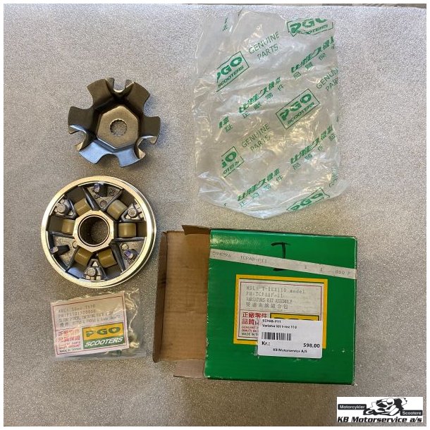 PGO Variator kit T-Rex110